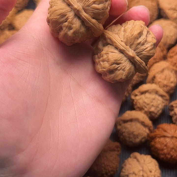 T***3核桃蛤蟆头全品无修文玩把件