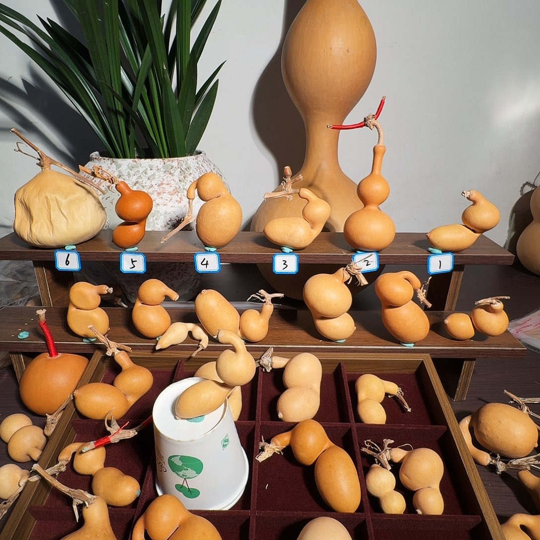 我***一我要的东西不在那