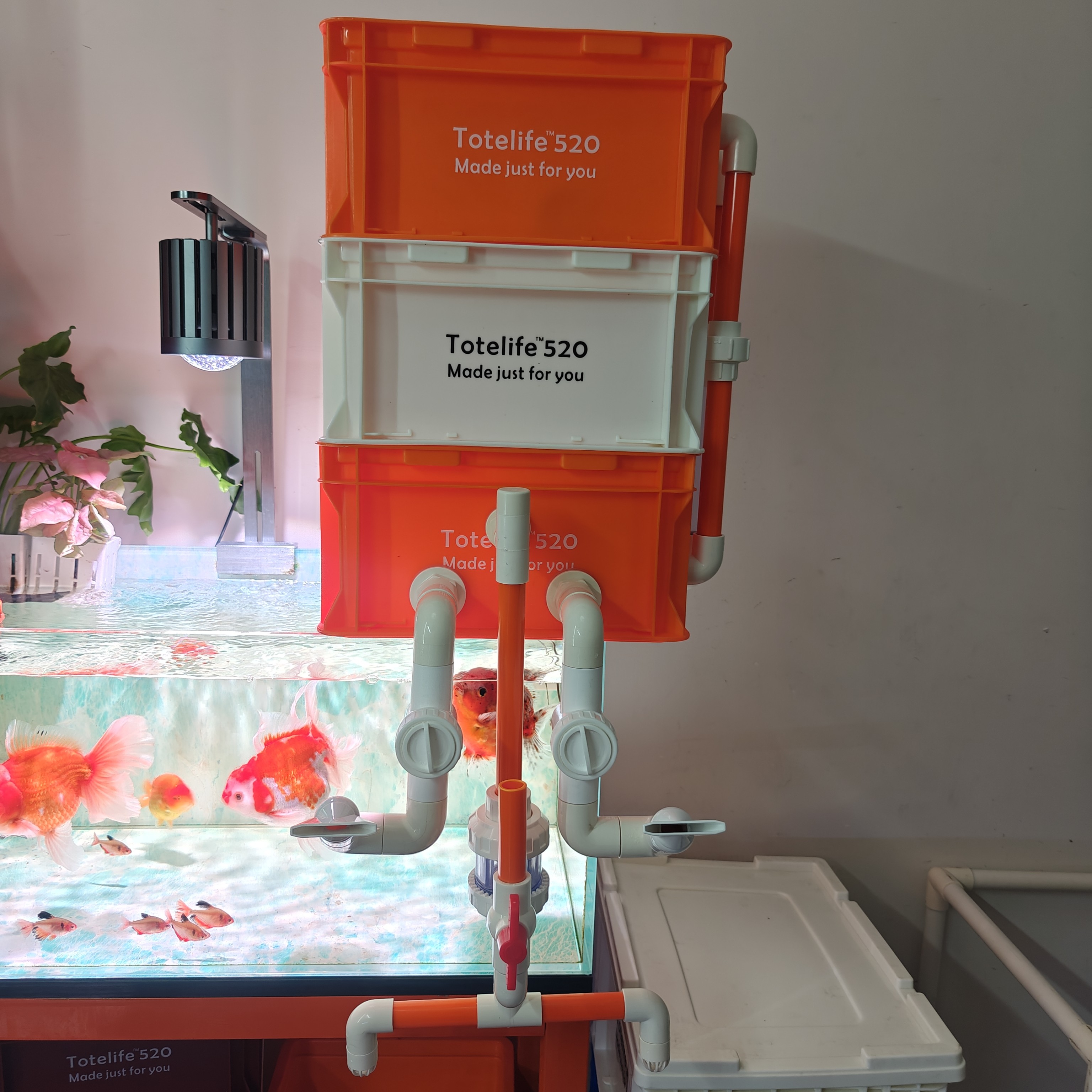 鱼缸周转箱过滤器内置水泵滴流盒净水循环多层过滤