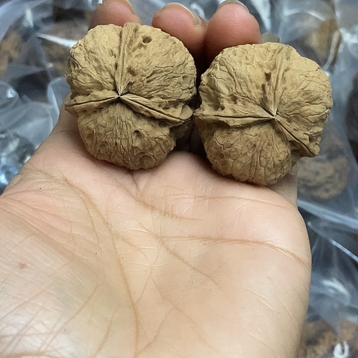 把件文玩核桃云南铁核桃基地25