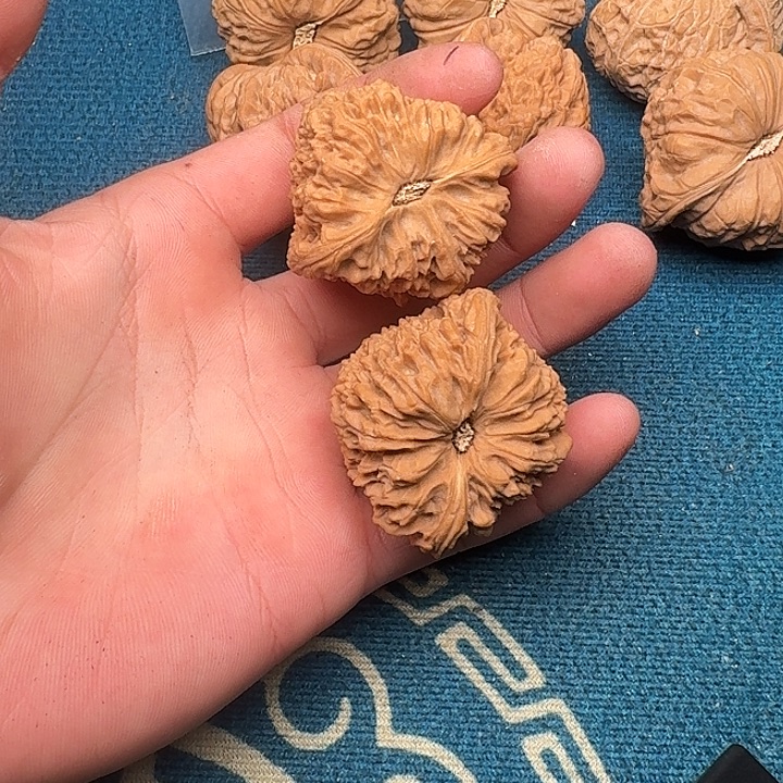 棕***胖吊坠文玩核桃哈哈哈哈哈哈哈