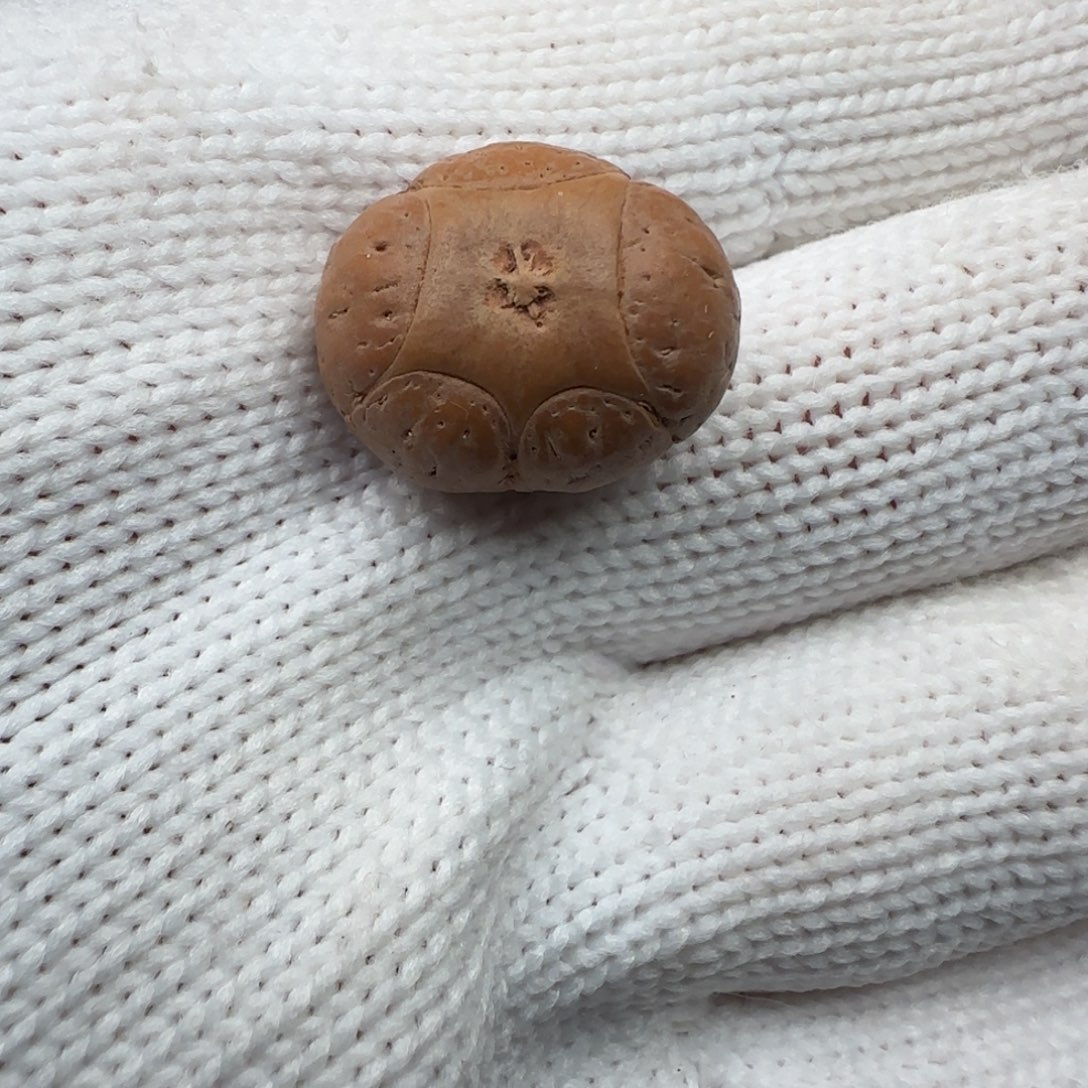 凤眼菩提吊坠，20尺寸五星打孔不退不换