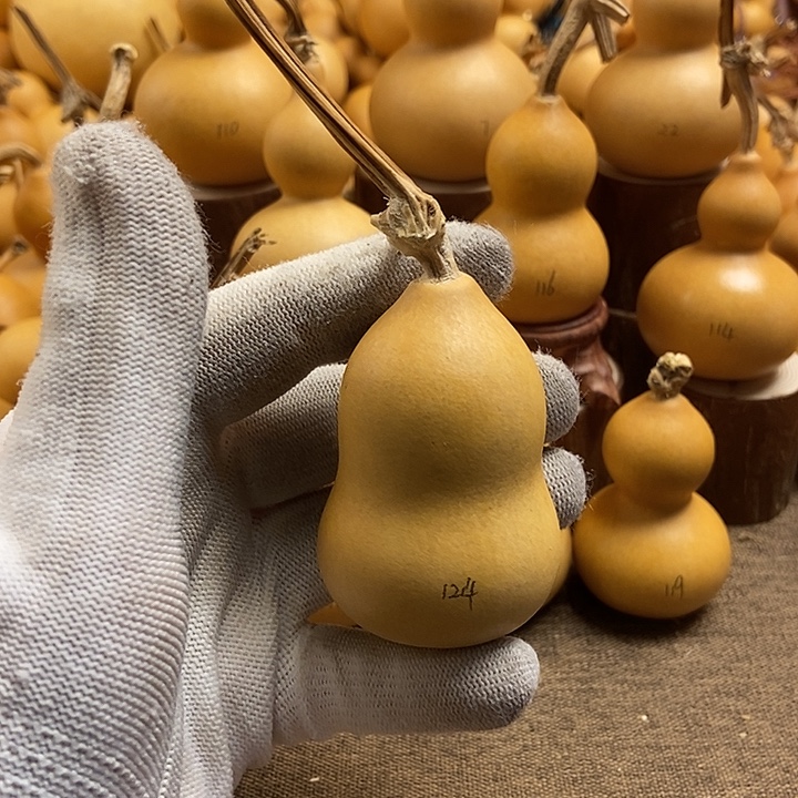 文玩葫芦 完美主义者 慎拍124