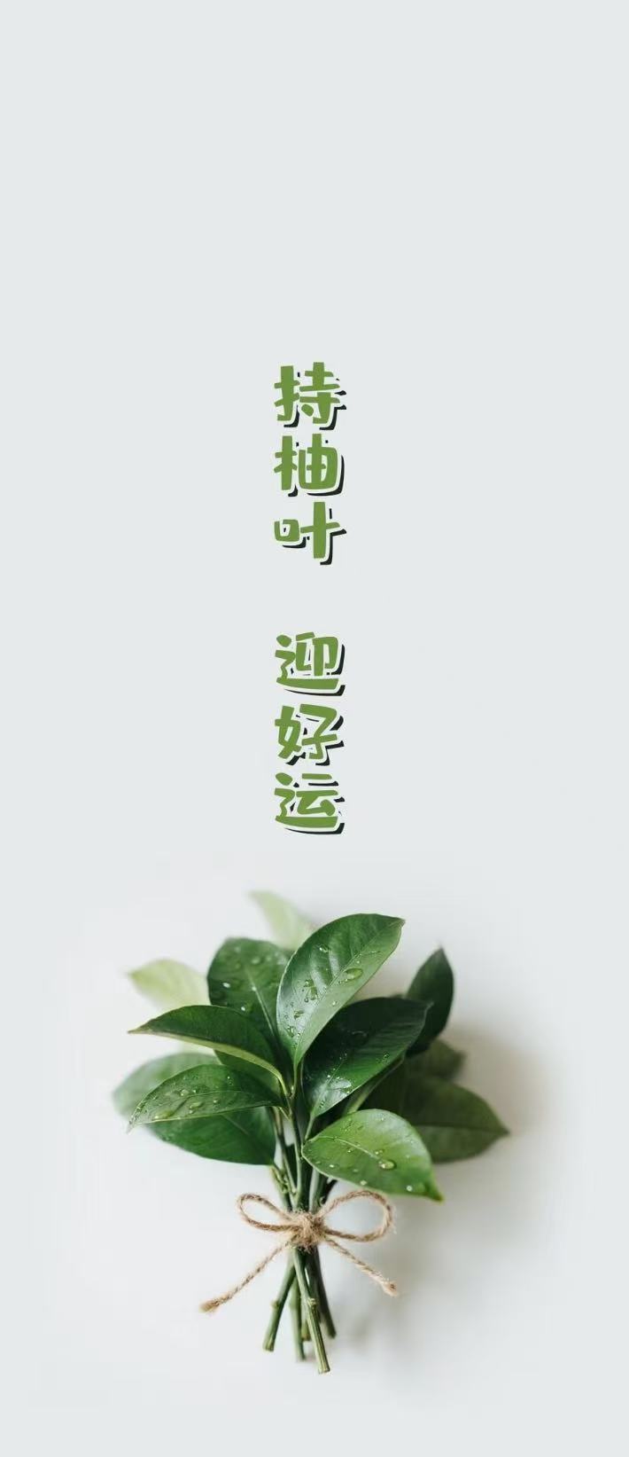 新鲜柚子叶现摘转运晦气祈福柚叶