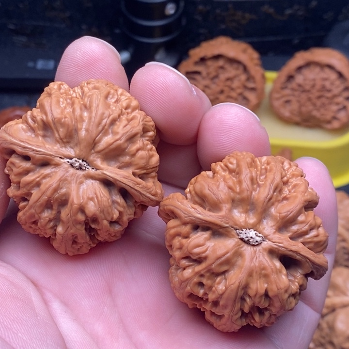 人***何文玩核桃把件文玩核桃大粗筋