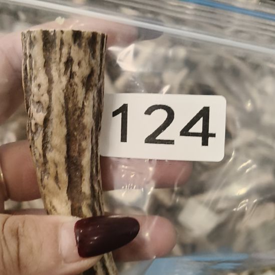 毛***猫鹿角鹿角鹿角鹿角鹿角鹿角鹿