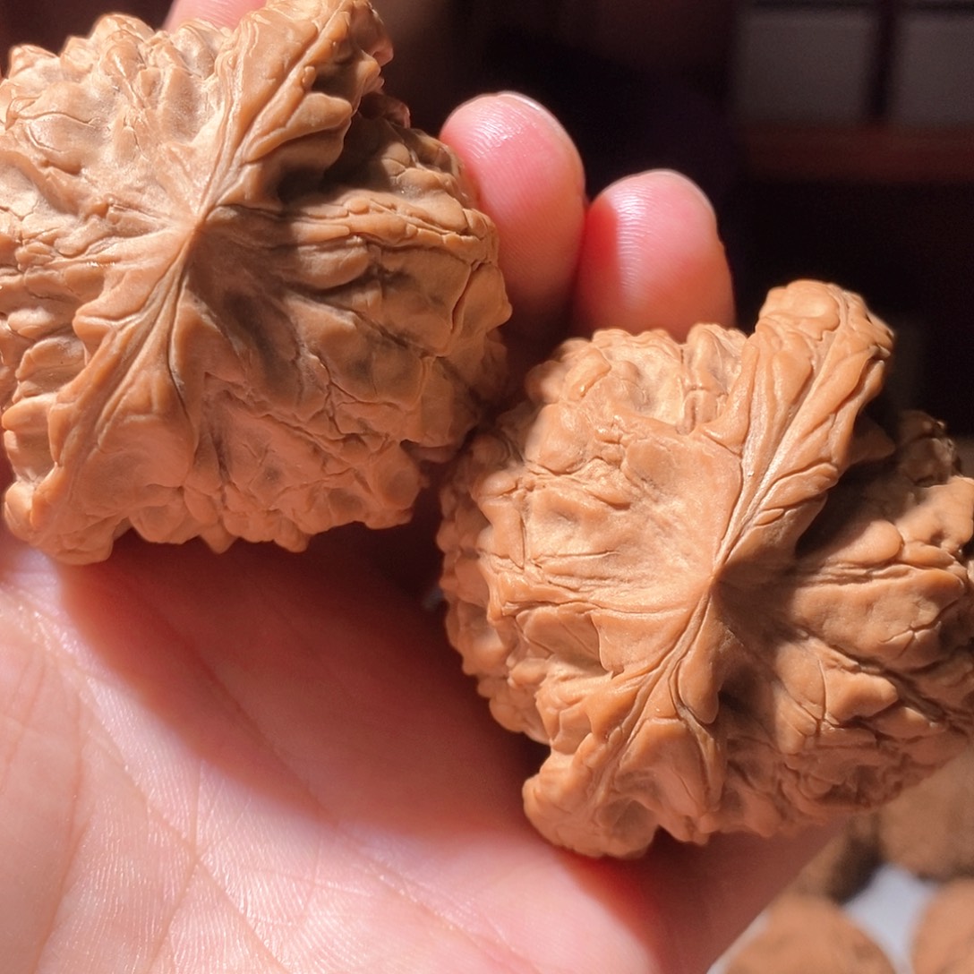 文玩核桃把件002龙鼎