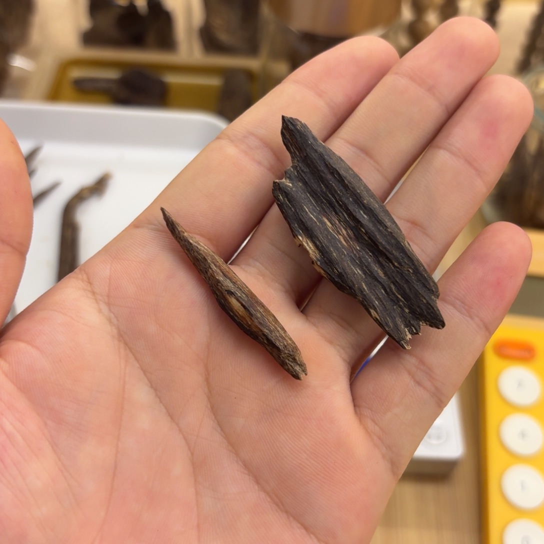 用***6香港树心+虫漏2.47克