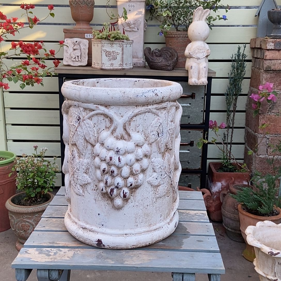 葡萄硬裂特价。           