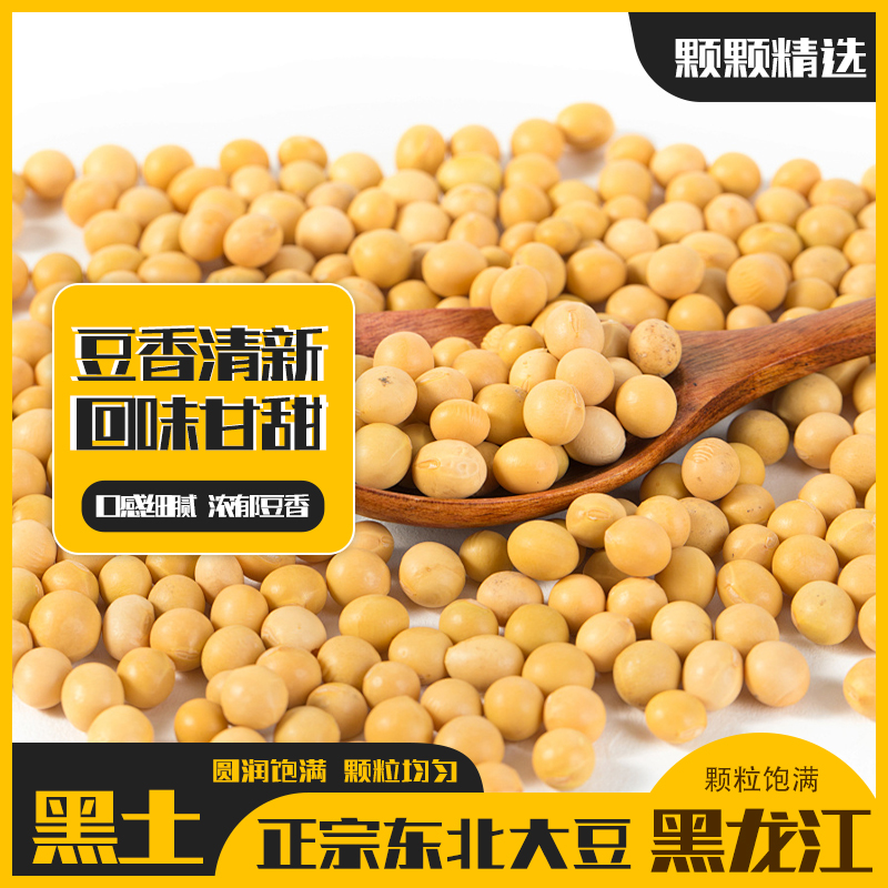 十斤东北黄豆打豆浆豆颗粒饱满圆润