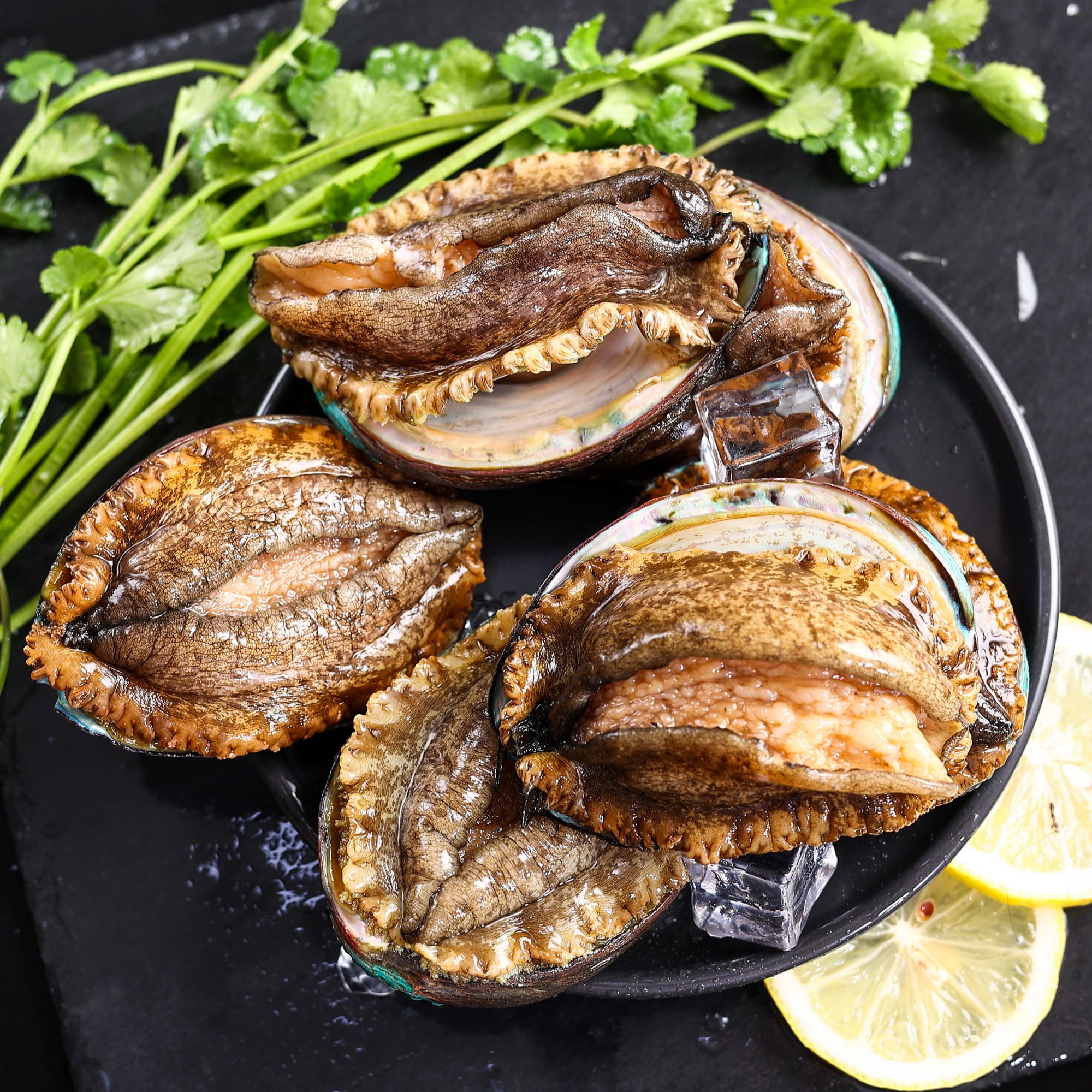 3-4头鲍鱼5只/包 到手2包10只鲜活鲍鱼速冻冷链发货