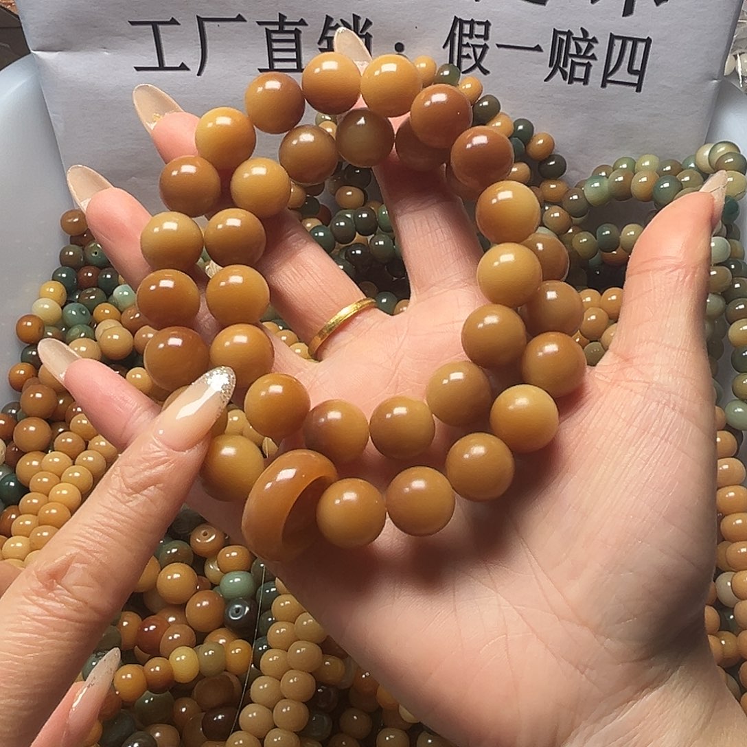 吊坠菩提根/象牙果