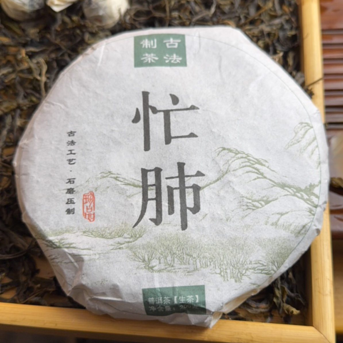 23年忙肺头春古树普洱生茶