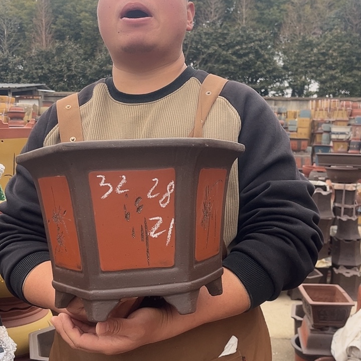 紫砂紫砂花盆盆栽