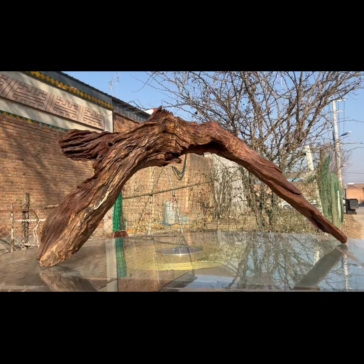 尺寸110×26×48 鱼缸造景沉木摆件，紫柚木，秒沉水，包煮，南美缸