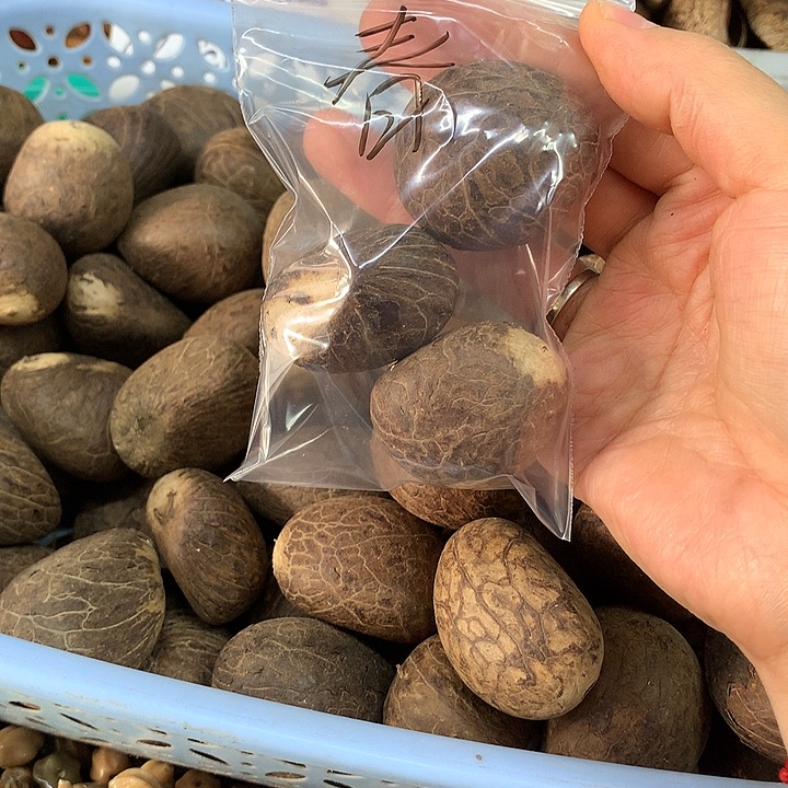春***橋千眼菩提吊坠象牙果菩提