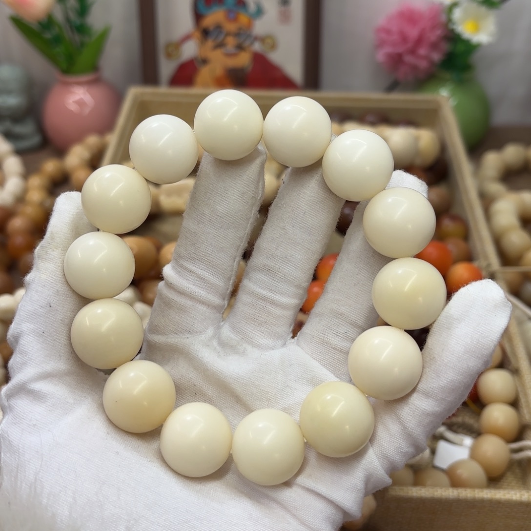 吊坠菩提根/象牙果19干磨瑕疵落地果862