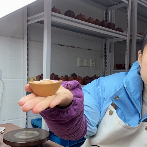 段泥元宝茶宠茶宠