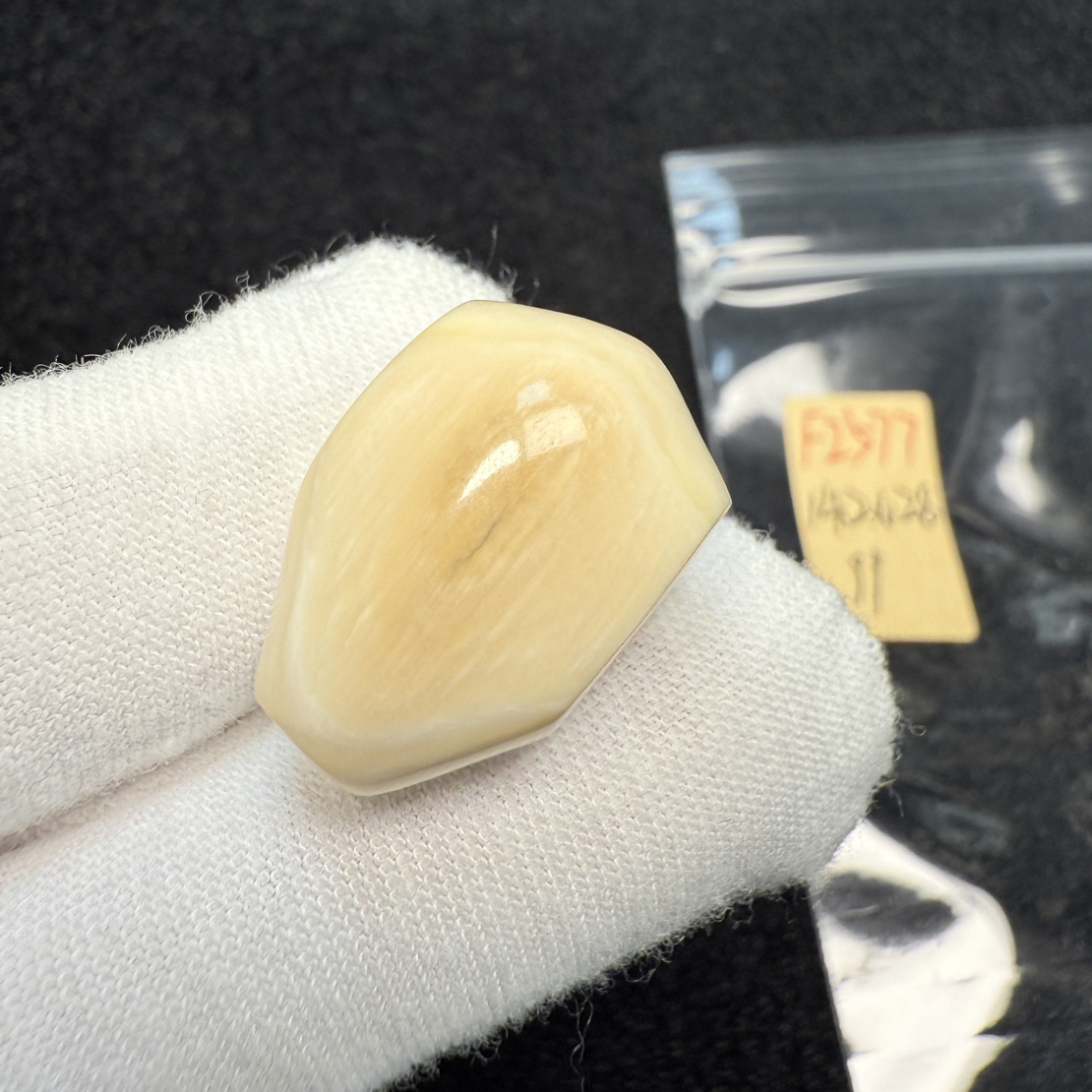 F2577猛犸象牙冰料满纹果冻料鲨鱼背三通14.2*12.8mm