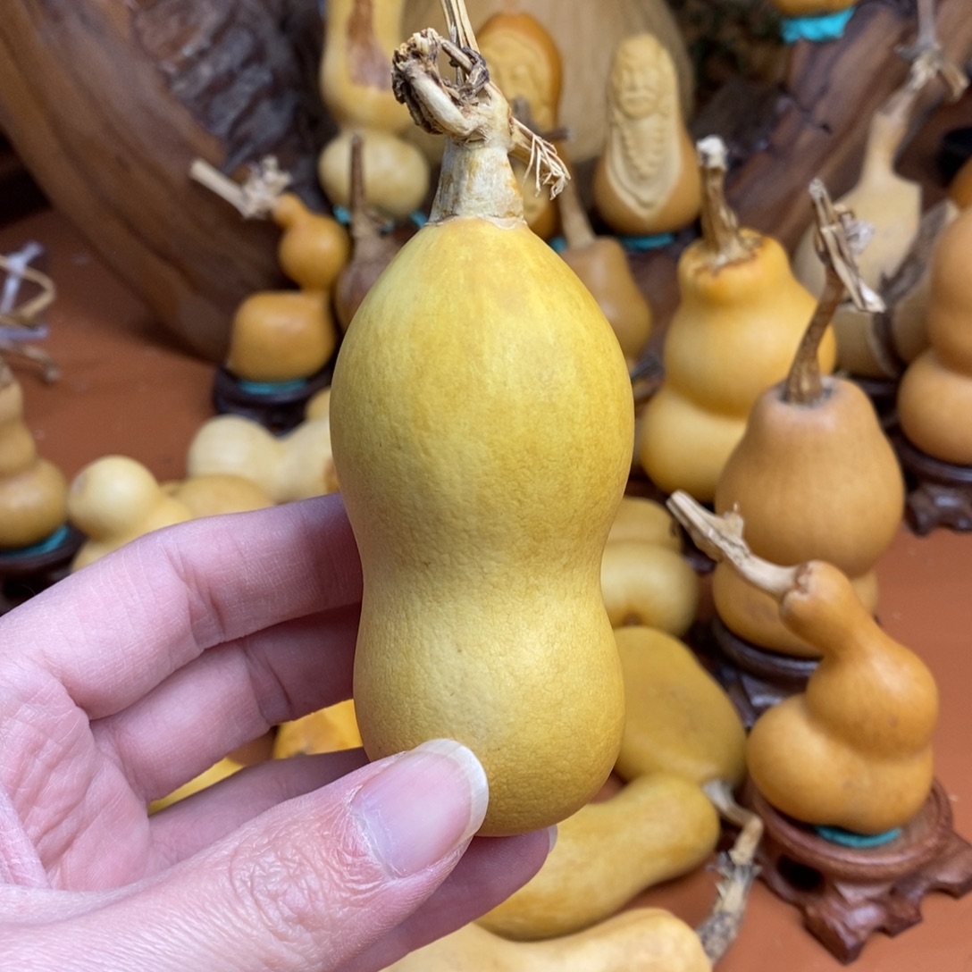 笑***2啦啦教练咯教练咯教练