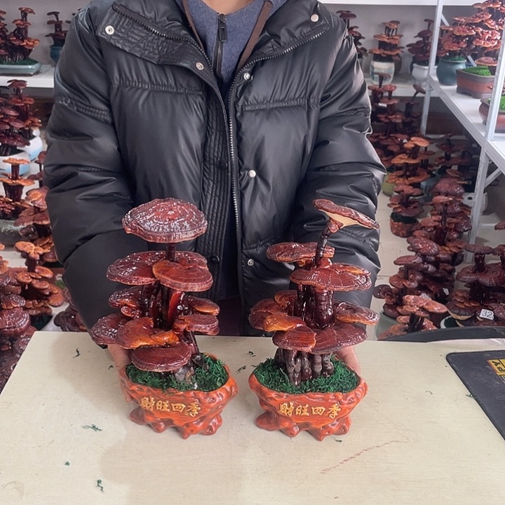 J****Z888888888888888888888888