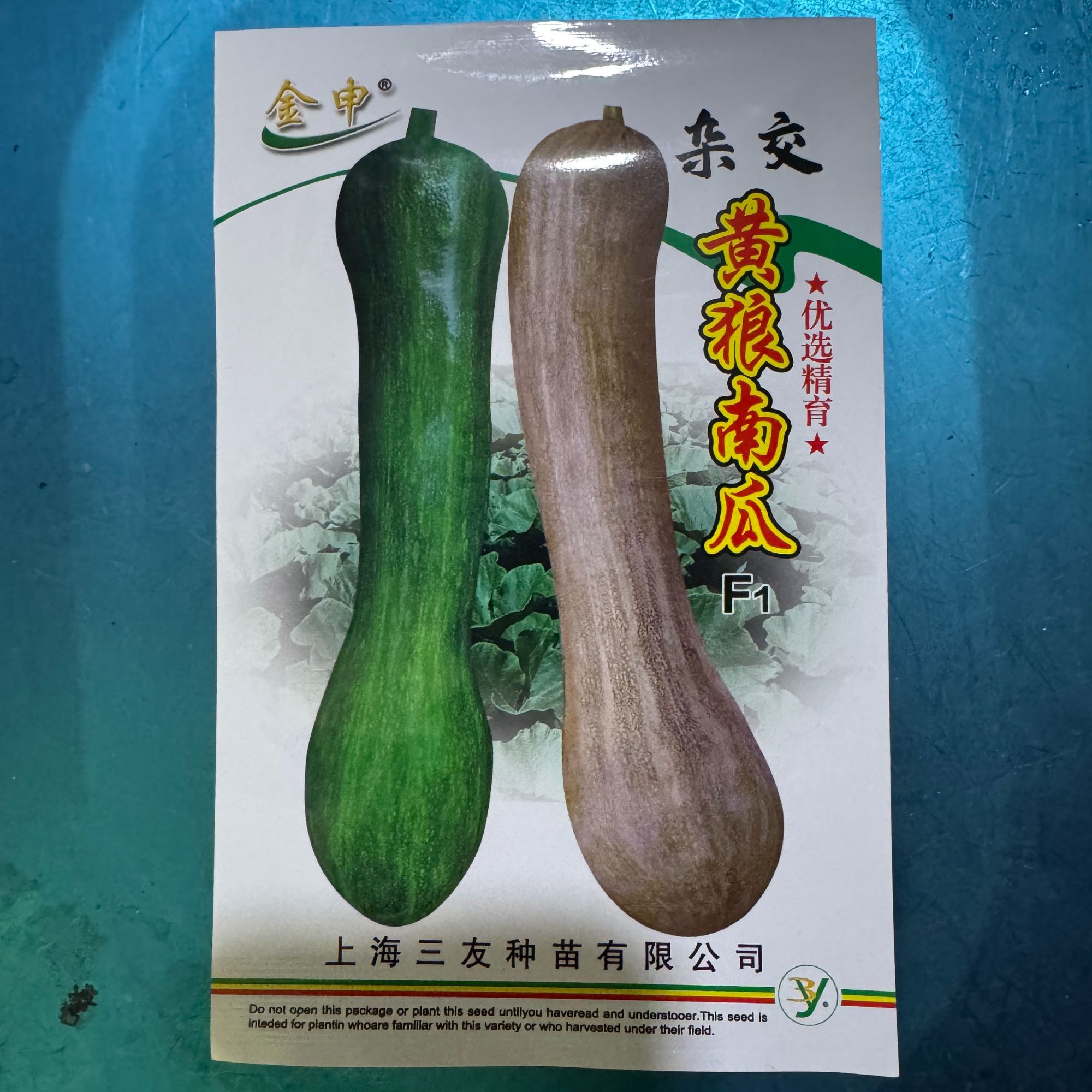 春秋种植蜜甜黄狼南瓜