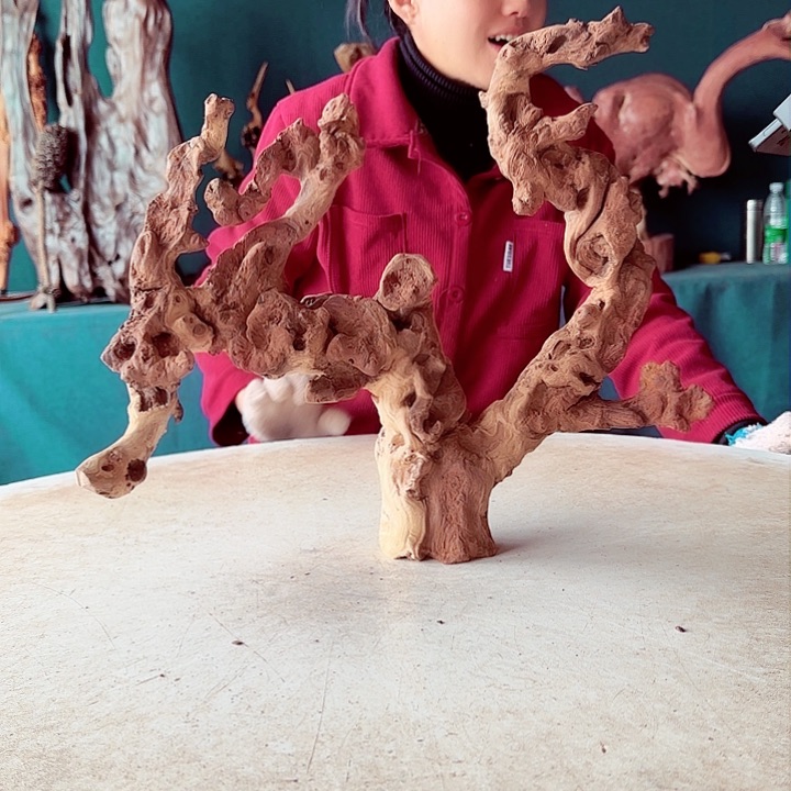 黑果木用****0426金丝红木羊蹄甲半成品