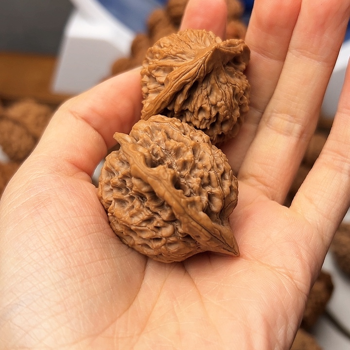 绿**踪秦岭山脉的形成过程5