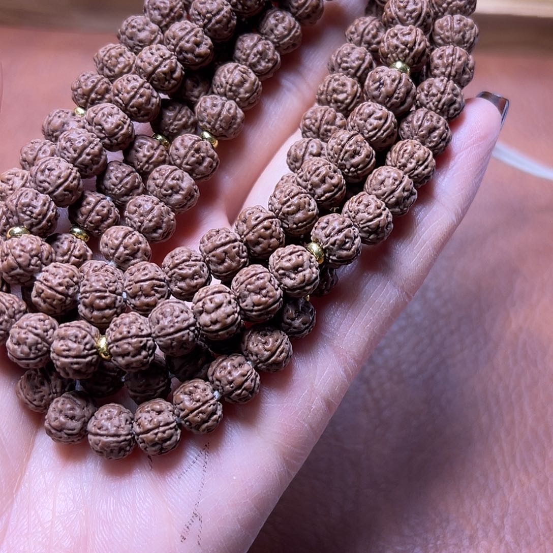 海***来菩提老树王1211111123456