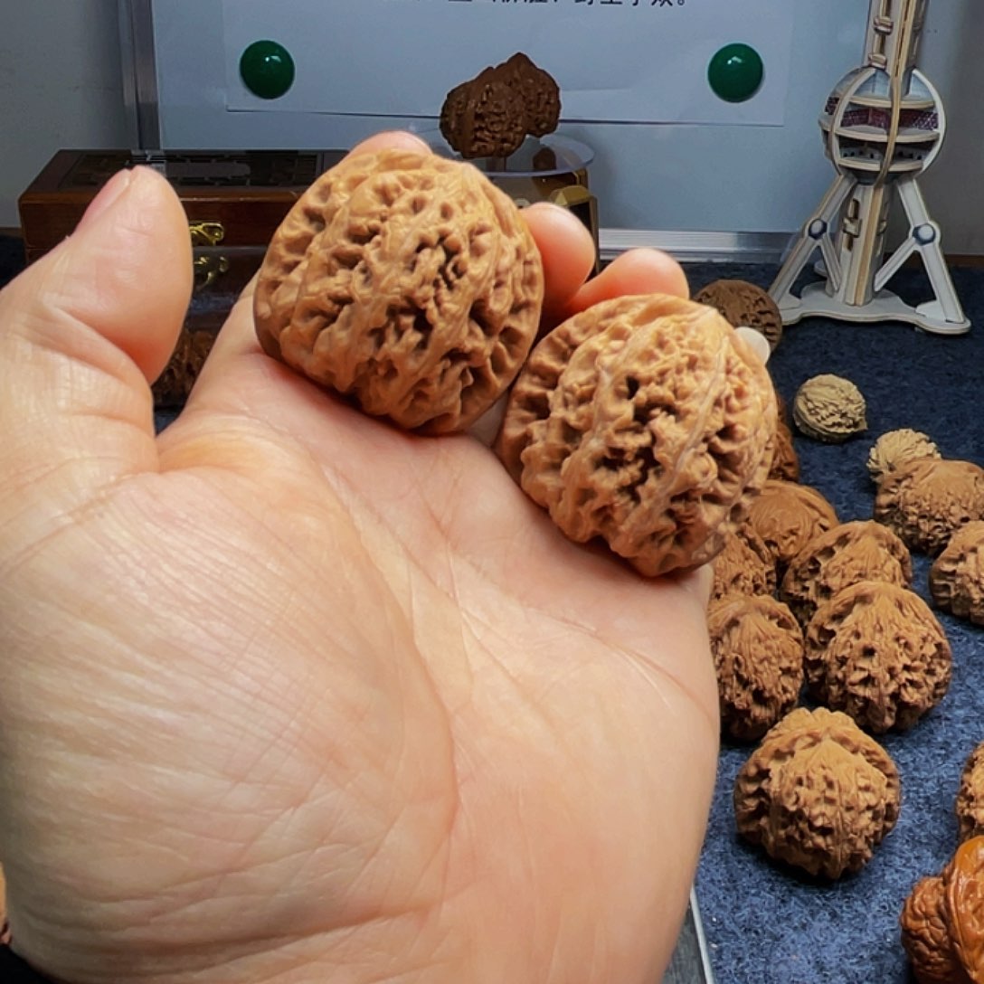 猴头核桃把件福***?粗筋41尺