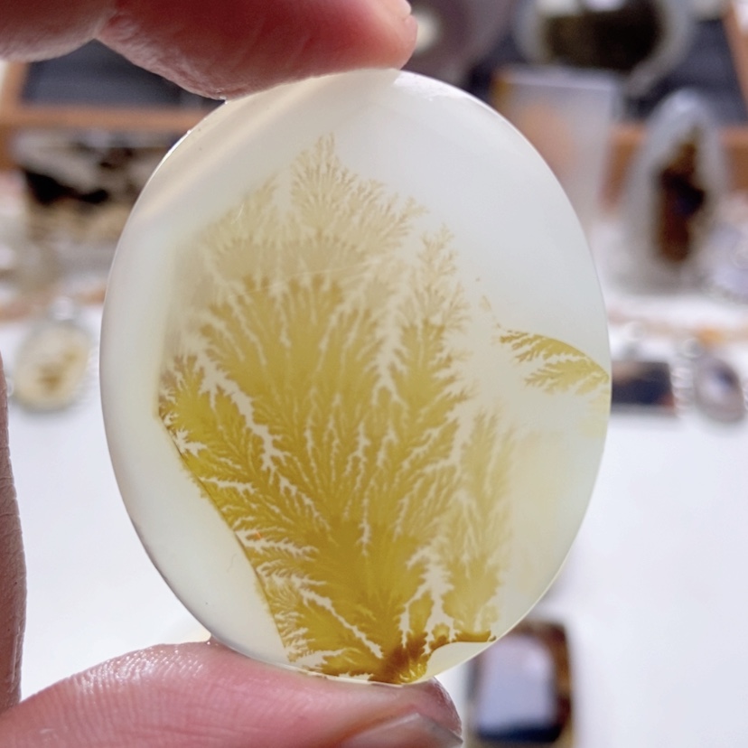 【闪购商品】玛瑙/玉髓颈饰未镶嵌