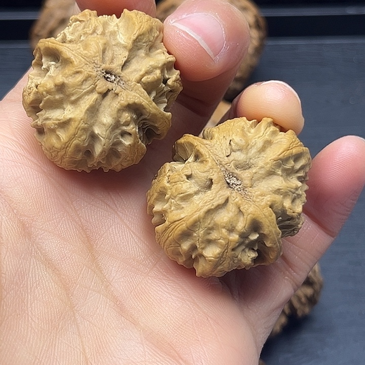 風***邊木质类秦岭突突突突突突