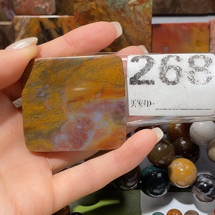 硅化玉未镶嵌天然北票树化玉吊坠