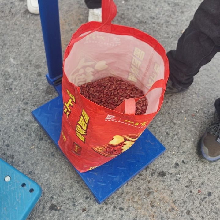 中国大陆沙包花豆5斤 