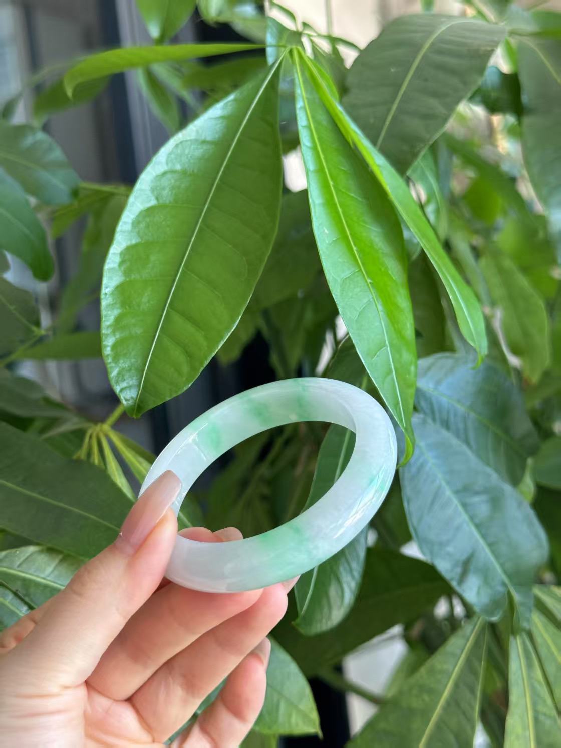 缅甸天然a货翡翠手镯