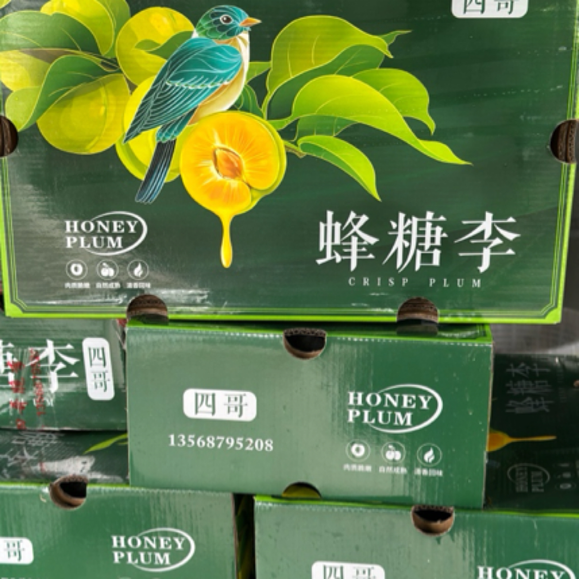 四哥蜂糖李一件10斤左右李子同城送