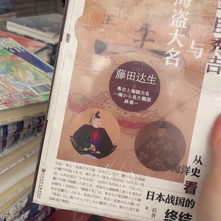 丰臣秀吉：微瑕图书系列