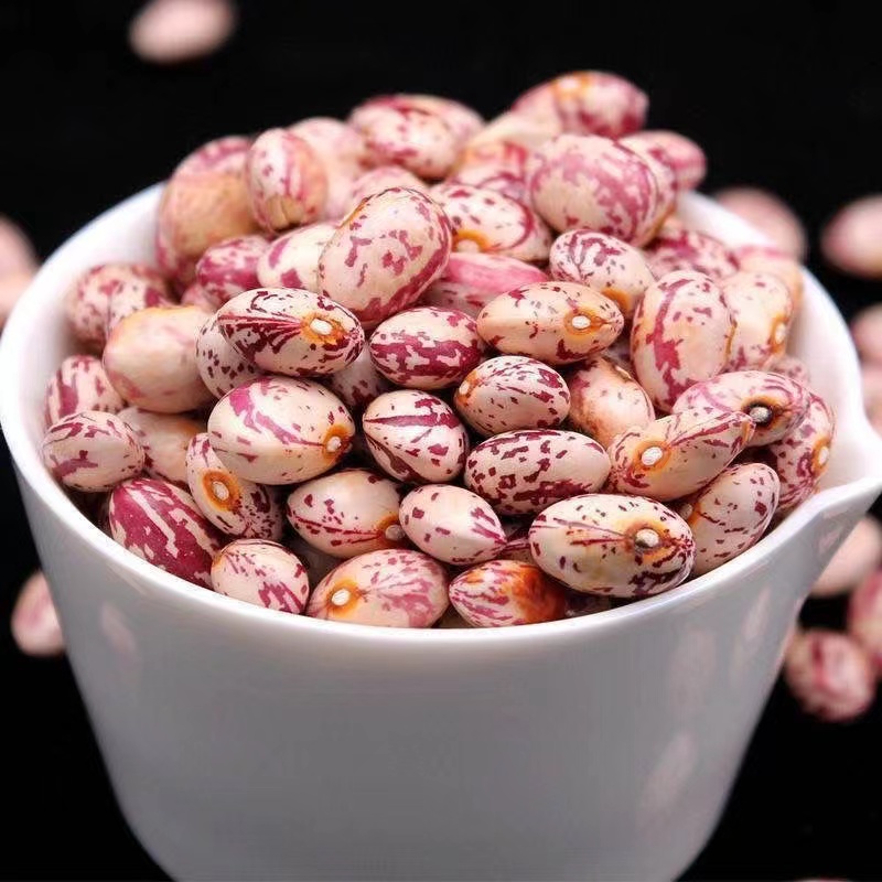 鸟豆、农夫山珍、土特产