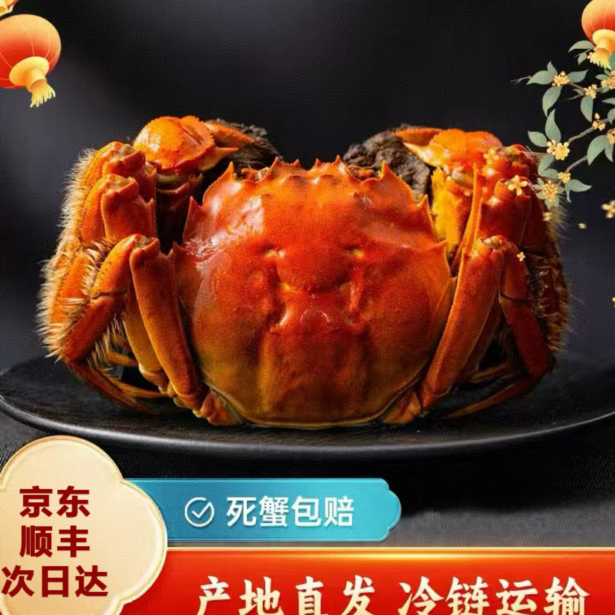 6两公5两母【活蟹】阳澄苏州大闸蟹公蟹6两-5.7两+母蟹5两-4.7两/只，4对、5对装 空运包邮