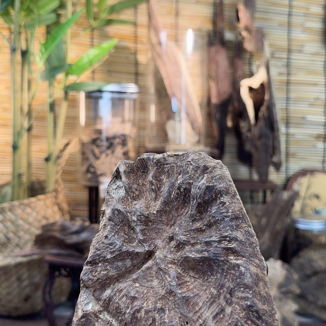 沉香沉香碎屑沉香老顶50g