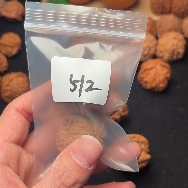 把件文玩核桃38 尺   铁锤妹妹 512