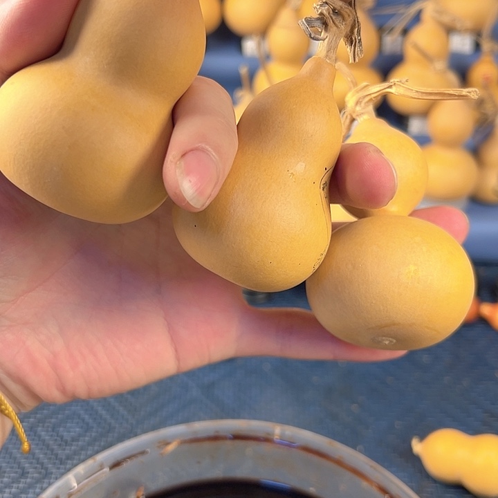 葫芦一物一拍所见即所得4个