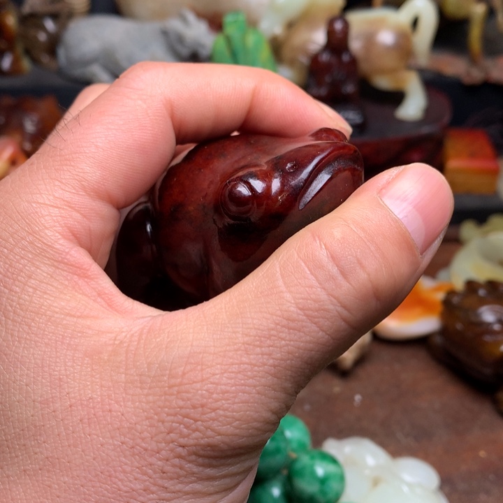 雅*轩龙龙龙龙龙龙龙龙龙