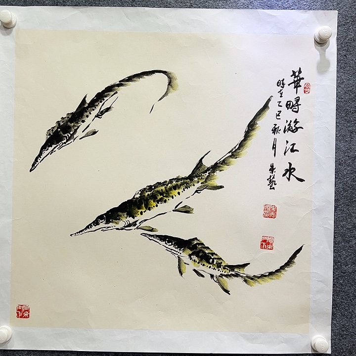 国画知鱼知乐纯手绘