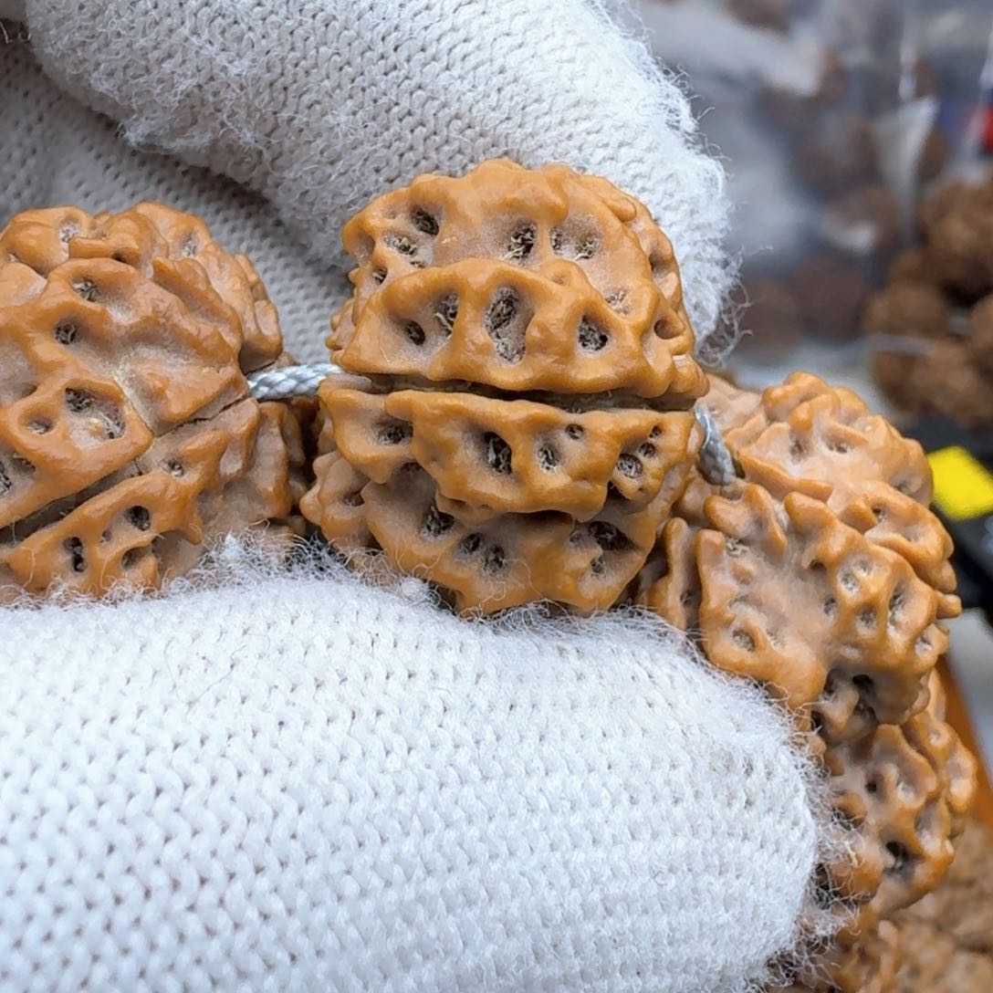 金刚菩提手串O*梅花