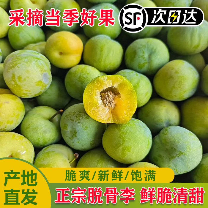 【顺丰包邮】正宗巫山脱骨李青脆李应季水果清爽脆甜 果味浓郁重庆市
