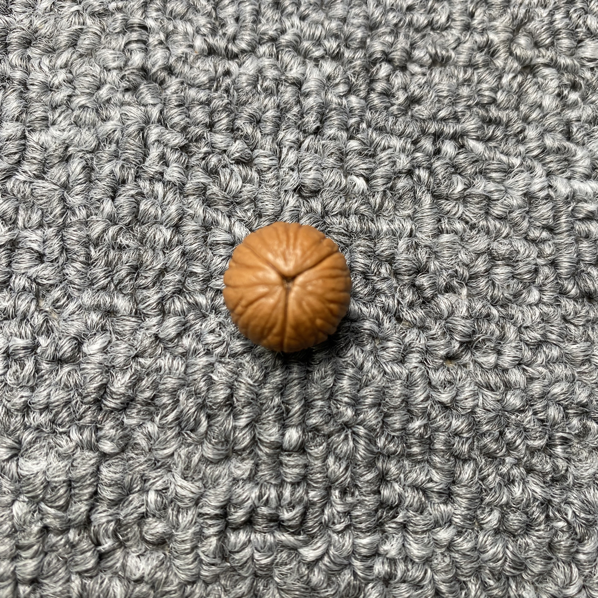 猴头核桃，配饰三通，背云，顶珠（三棱正奔，四棱正奔，独角，连体）