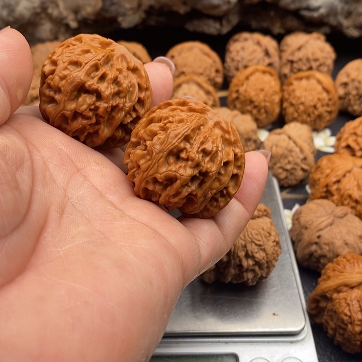 42全品无修42苹果园