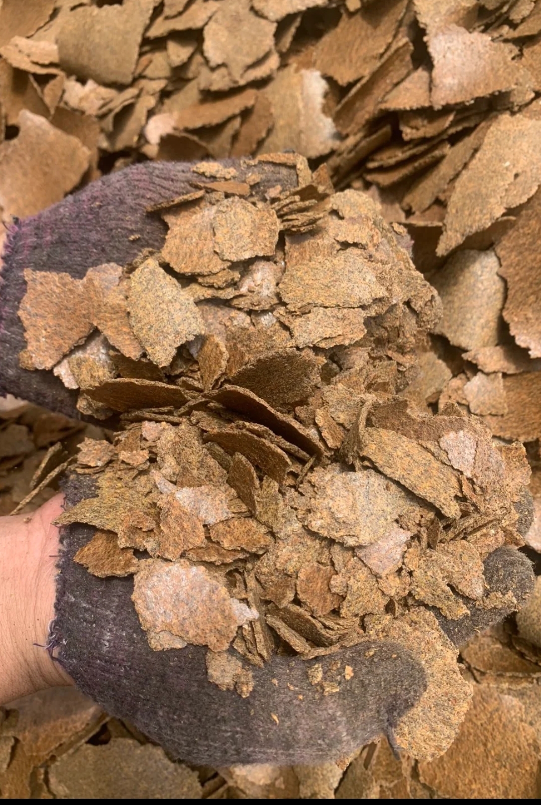 贵州农家自榨菜籽油菜籽粑，土壤肥