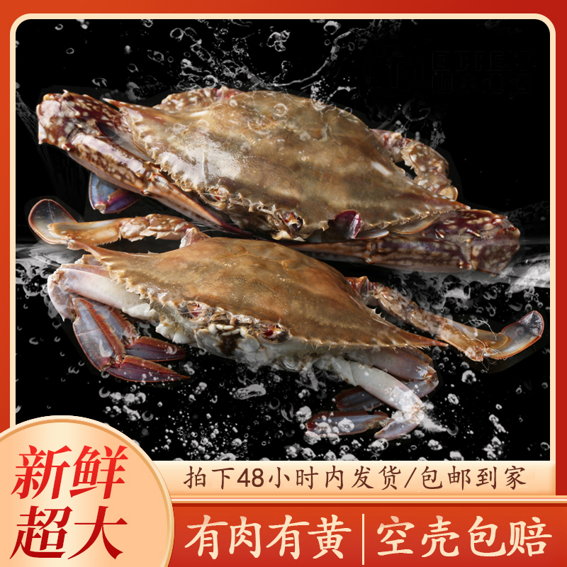 公蟹舟山活冻公蟹肉蟹活冻蟹12只3两左右/只【冻蟹】三斤二